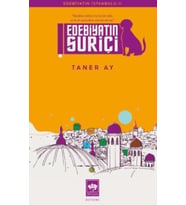 Edebiyatın Suriçi