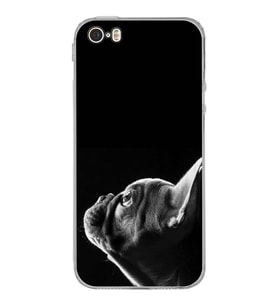 PrintiFy Iphone 5 ile Uyumlu Köpek 1 Kamera Korumalı Şeffaf Kılıf