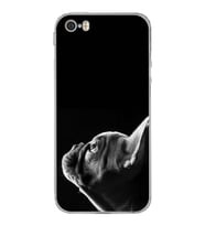 PrintiFy Iphone 5 ile Uyumlu Köpek 1 Kamera Korumalı Şeffaf Kılıf
