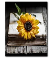 Cakatablo MDF (Ahşap) Tablo Açık Eski Kitap ve Günebakan Çiçeği