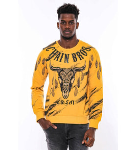 Hardal Baskılı Taşlı Bisiklet Yaka Sweatshirt - Wessi (Sarı)