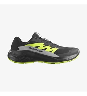 Salomon Alphaglide Gtx Erkek Patika Ayakkabısı