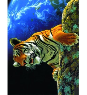 Artebella 1375K Büyük Kolay Transfer 23x34 cm 