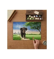 Çimlerin Arasında Yürüyen Fil Tasarımı 240 parça Ahşap Puzzle Ahşap Kutuda MP00470