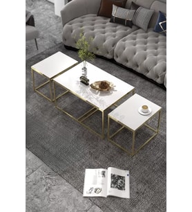 Orta Sehpa Ve Zigon Yan Sehpa Flora Set Gold Beyaz