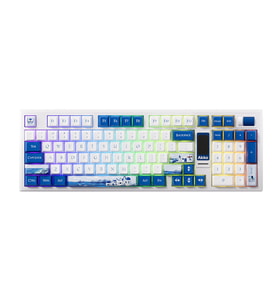 AKKO 5098B Plus Santorini RGB Kablosuz Hotswap Mekanik Gaming Klavye