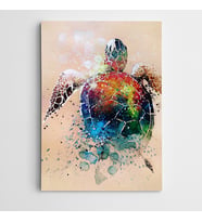 Kaplumbağa Renkler Modern Sanat Kanvas Tablo