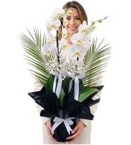 Premium Black & White İki Dal Beyaz Orkide Cipsofilyalar ve Egzotik Yeşillikler
