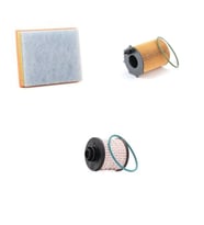Bosch Filtre Bakım Seti Citroen C4 1.6 BlueHDi Dizel 2014+ 120 Beygir Hava + Yağ f. + Yakıt Filtre Bosch