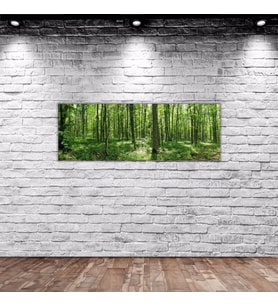 BK Home Orman Manzaralı Panorama Kanvas Tablo 100x35cm-1