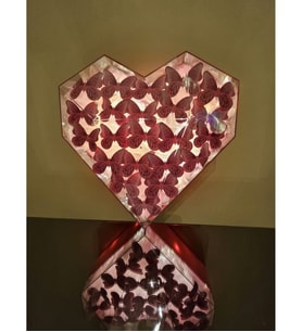 KELEBEK KUTU	PEMBE (Kırmızı)