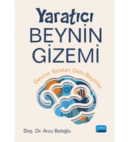 YARATICI BEYNİN GİZEMİ - Devrim Yaratan Dâhi Beyinler