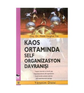 Kaos Ortamında Self Organizasyon Davranışı - Melek Vergiliel Tüz