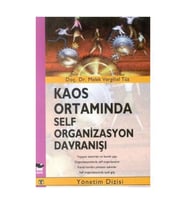 Kaos Ortamında Self Organizasyon Davranışı - Melek Vergiliel Tüz