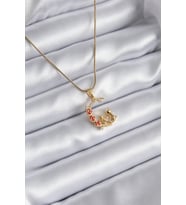 316L Çelik Gold Renk Hilal Kedi Model Zirkon Taşlı Detay Kadın Kolye TJ-BKO8140