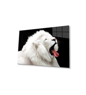 Aslan Cam Tablo 4mm Dayanıklı Temperli Cam (Çok Renkli)