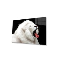 Aslan Cam Tablo 4mm Dayanıklı Temperli Cam (Çok Renkli)