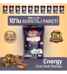 Dost Kedi Maması - 10 Adet