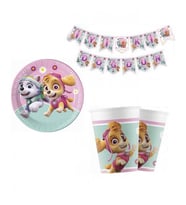 Paw Patrol Skye &amp; Everest 8 Kişilik Set-