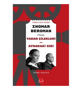 Yaban Çilekleri - Aynadaki Gibi