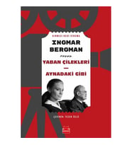 Yaban Çilekleri - Aynadaki Gibi