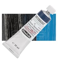Mussini 35ml Yağlı Boya Seri:1 No:490 Prussian Paris Blue