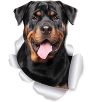 Rottweiler köpek araba Sticker 18CM etiket Yapıştırma