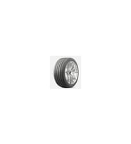 225/45R17 94W XL DS2 DELINTE (Y26)
