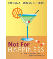 Not For Happiness: A Guide To The So-Called Preliminary Practices