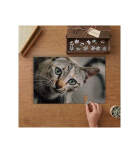 Yakın Çekim Yeşil Gözlü Kedi Tasarımı 240 parça Ahşap Puzzle Ahşap Kutuda MP04156