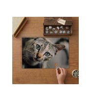 Yakın Çekim Yeşil Gözlü Kedi Tasarımı 240 parça Ahşap Puzzle Ahşap Kutuda MP04156