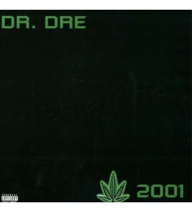 Dr. Dre: 2001 Double LP Plak (Karışık)