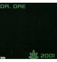 Dr. Dre: 2001 Double LP Plak (Karışık)