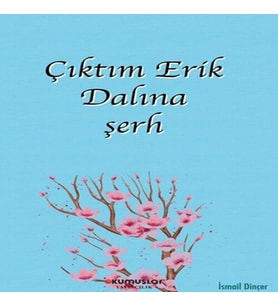 Çıktım Erik Dalına şerh