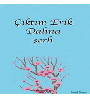 Çıktım Erik Dalına şerh