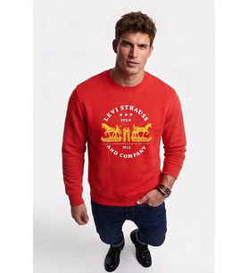 pamuk Graphic Erkek bisiklet yaka Sweatshirt
