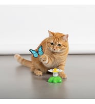 Runaway Hareketli Pilli Kedi Oyuncağı Kelebek Av Keyfi