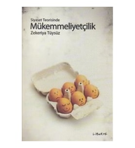 Siyaset Teorisinde Mükemmelliyetçilik
