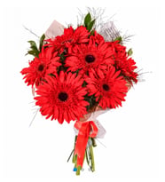Seydikemer kırmızı gerbera