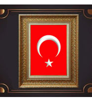 Gold Altın Kalın Çerçeveli Paspartulu Tablo vvb1267