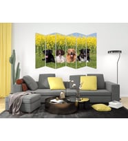 KÖPEK MDF TABLO-2657 MODEL-B