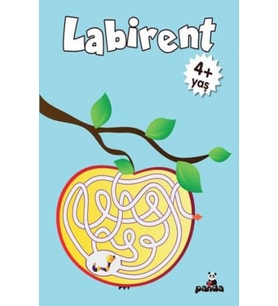 Labirent 4 Yaş