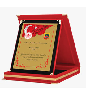 Ödül, Derece. Anı, Katılım, Hediye, Başarı Plaketleri