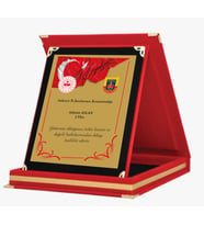 Ödül, Derece. Anı, Katılım, Hediye, Başarı Plaketleri