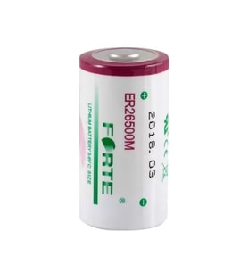 Forte 3.6V ER26500M C Size Lithium Pil 5 li Set