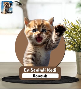 BK Gift Kedinizin Fotoğrafına Özel Masa Biblosu, Ev Hediye, Arkadaşa Hediye, Sevgiliye Hediye