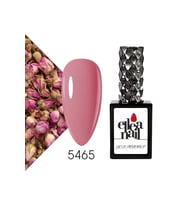 Profesyonel Kalıcı Oje 15 ml 5465