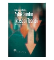 Aylak Sınıfın İktisadi Teorisi