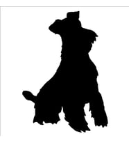 KÖPEK FOLYO STİCKER DERSTV888 40cm Uzunluk (Karışık)