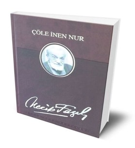 Çöle İnen Nur (Deri Ciltli)